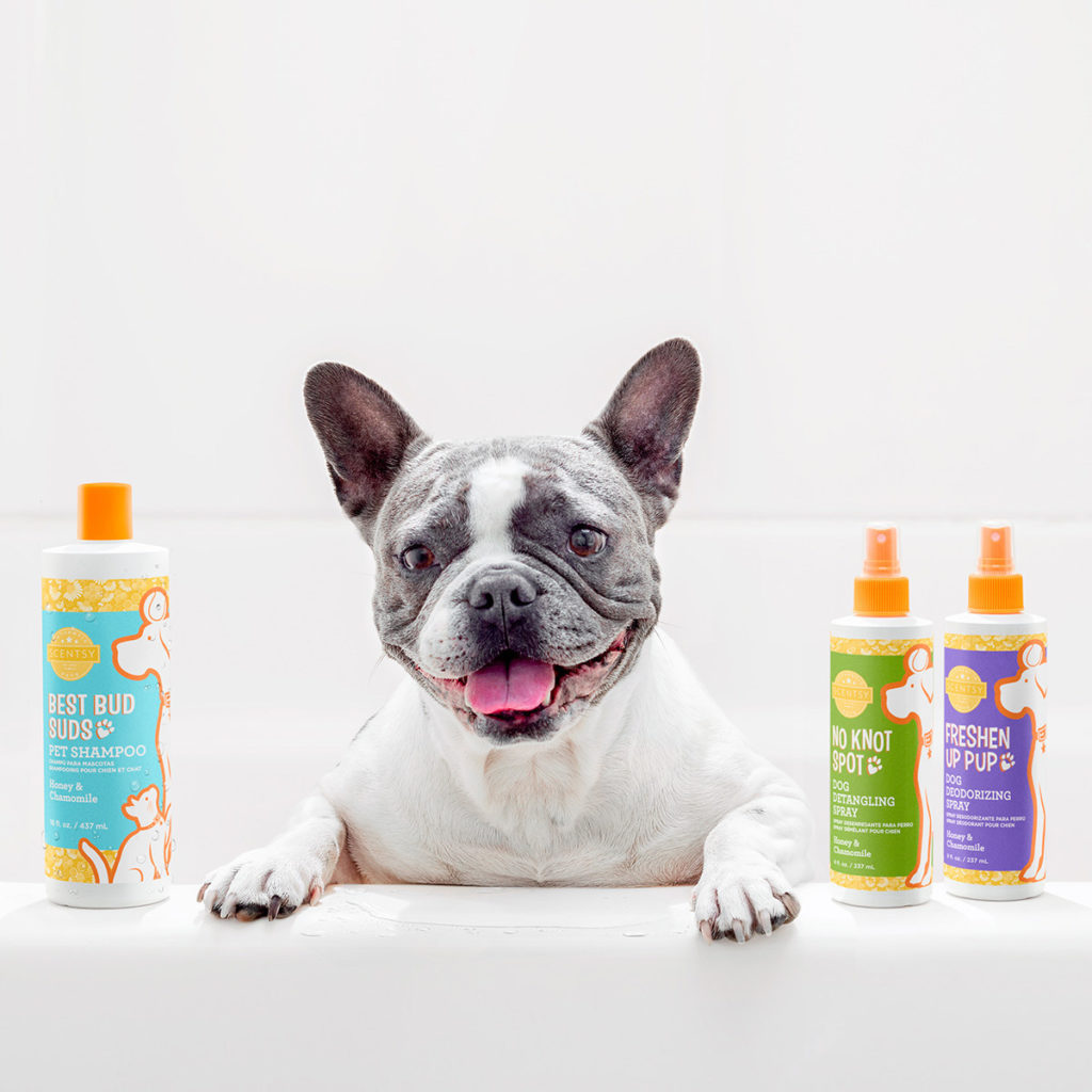Scentsy Introduces Grooming Products for Pets | Direct ...