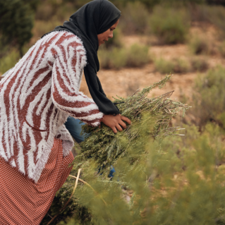 Young Living Celebrates International Women’s Day